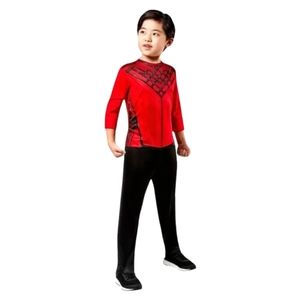 Boy's L (10-12) Marvel Studios Shang-Chi Legend Of The 10 Rings Halloween
